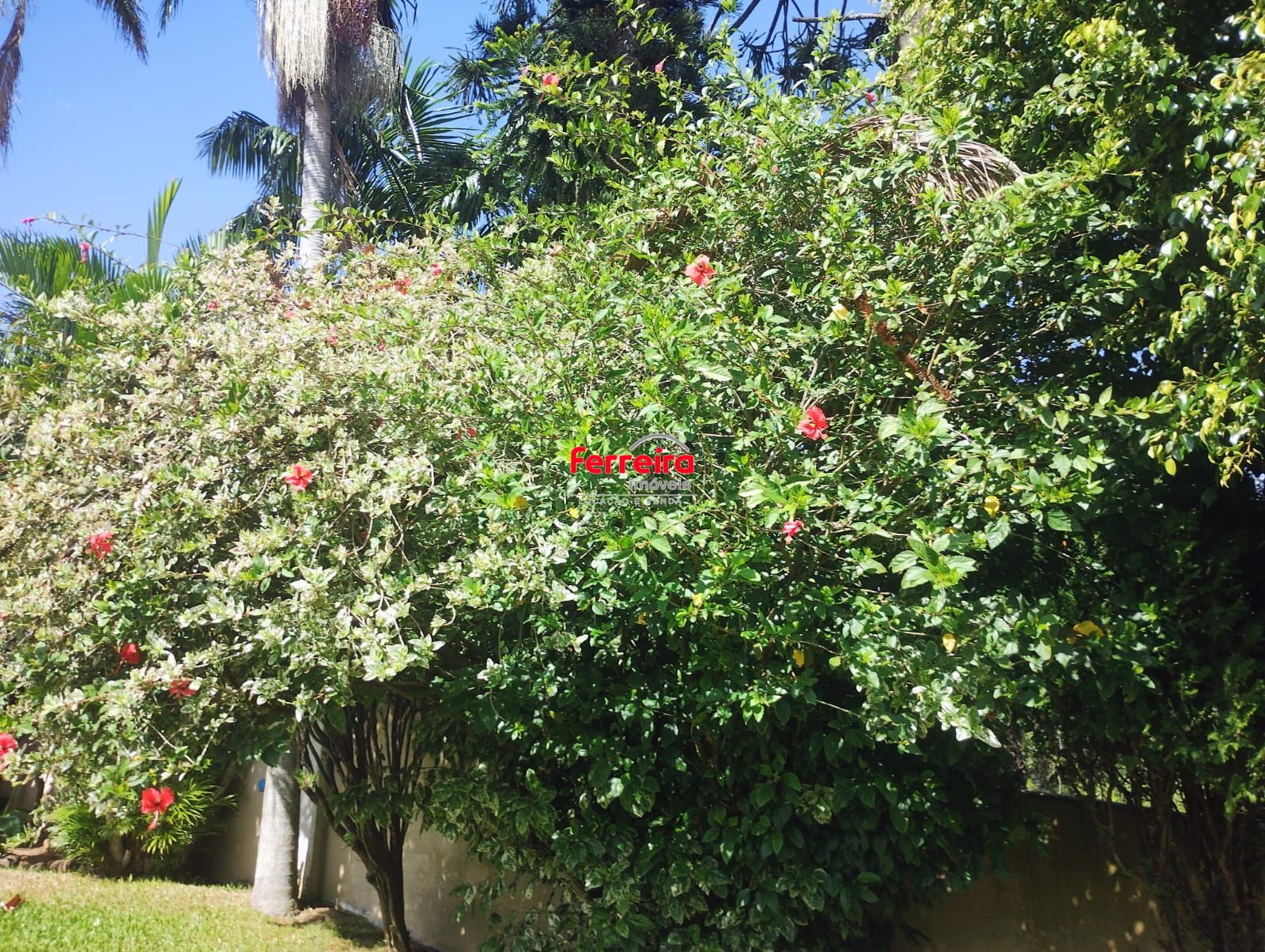 Casa, 3 quartos, à venda, 300 m², Tristeza - Porto Alegre — foto 3