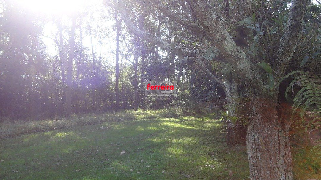 Terreno, à venda, Hípica - Porto Alegre — foto 3