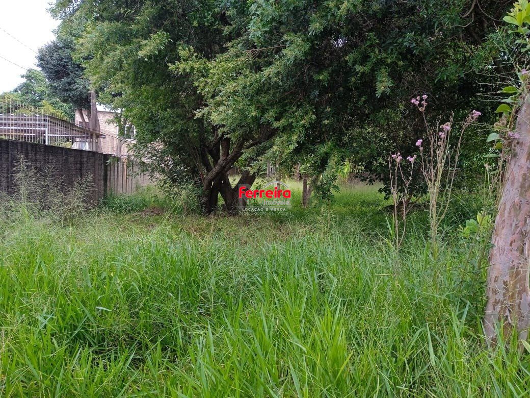 Terreno, à venda, Tristeza - Porto Alegre — foto 3