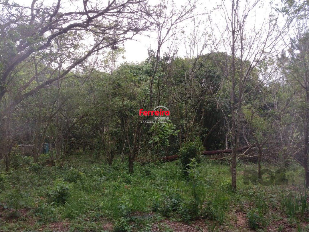 Sítio, à venda, Belém Velho - Porto Alegre — foto 5