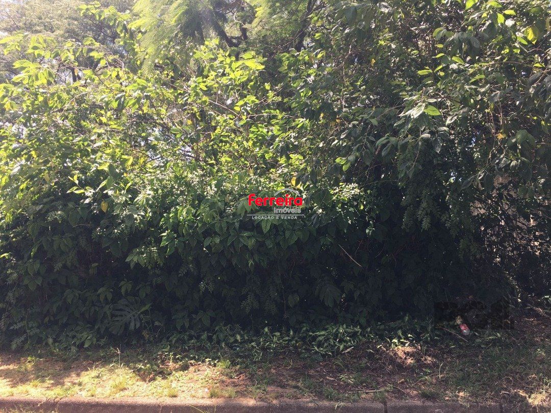 Terreno, à venda, Tristeza - Porto Alegre — foto 2