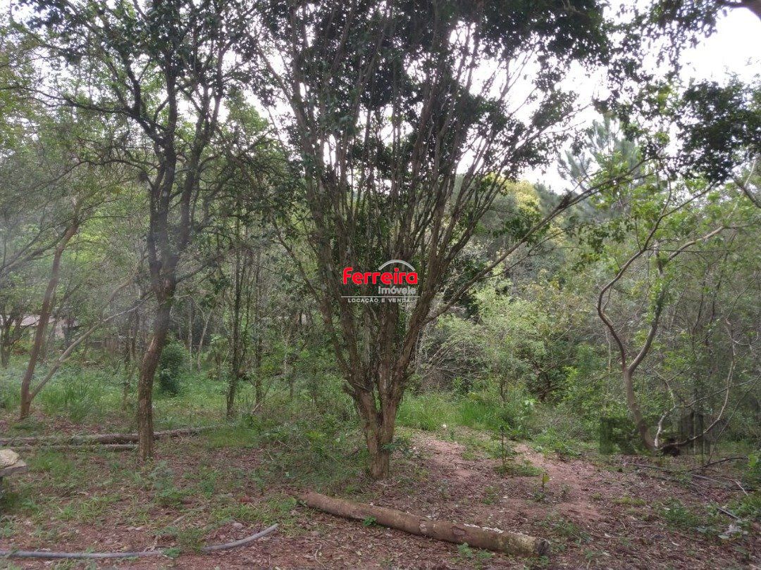 Sítio, à venda, Belém Velho - Porto Alegre — foto 4