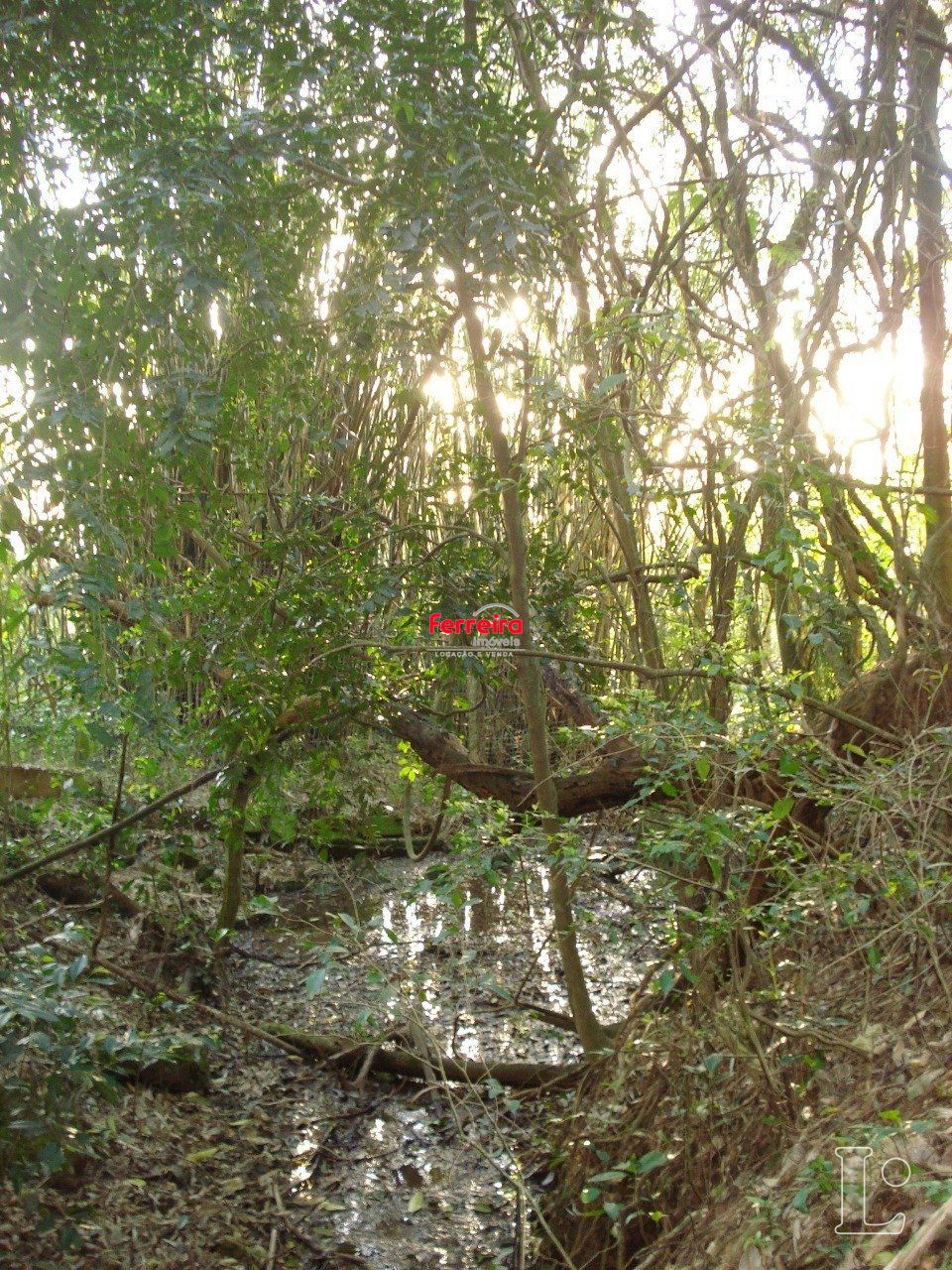 Terreno, à venda, Vila Nova - Porto Alegre — foto 4
