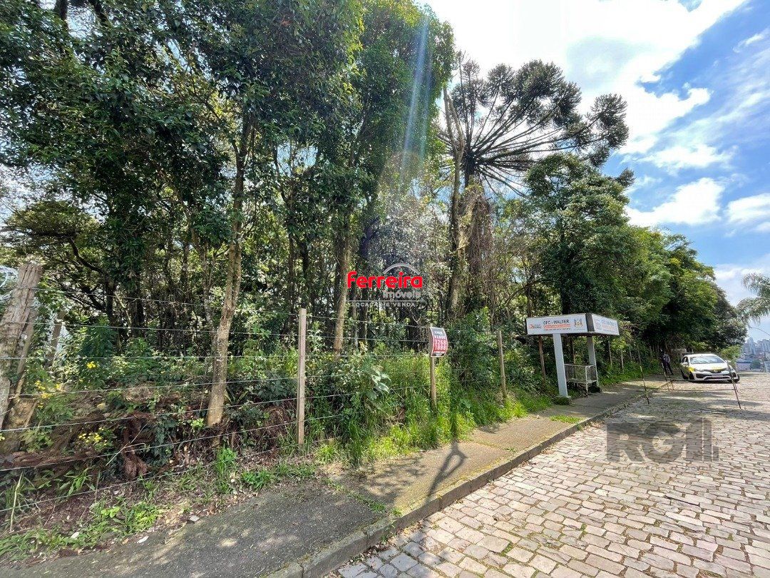 Terreno, à venda, Marechal Floriano - Caxias do Sul — foto 5