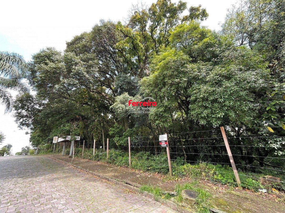 Terreno, à venda, Marechal Floriano - Caxias do Sul — foto 2