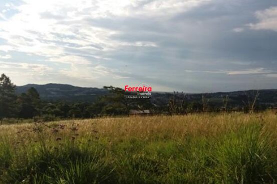 Terreno, à venda, Vila Nova - Porto Alegre — foto 4