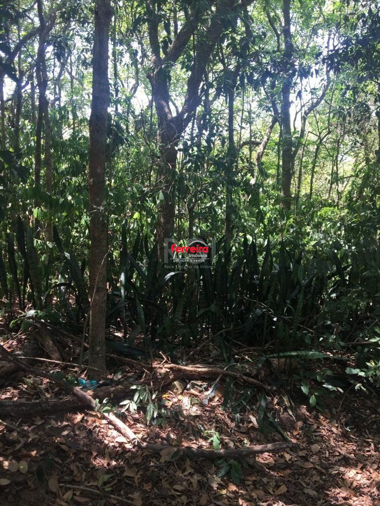 Terreno, à venda, Vila Nova - Porto Alegre — foto 2