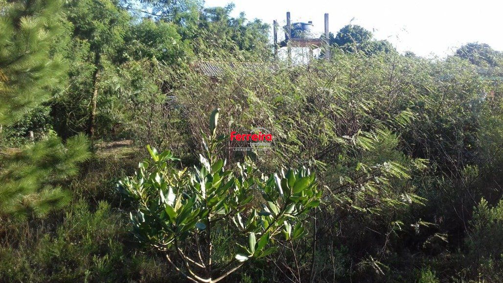 Sítio à venda, 3000m², Águas Claras - Viamão