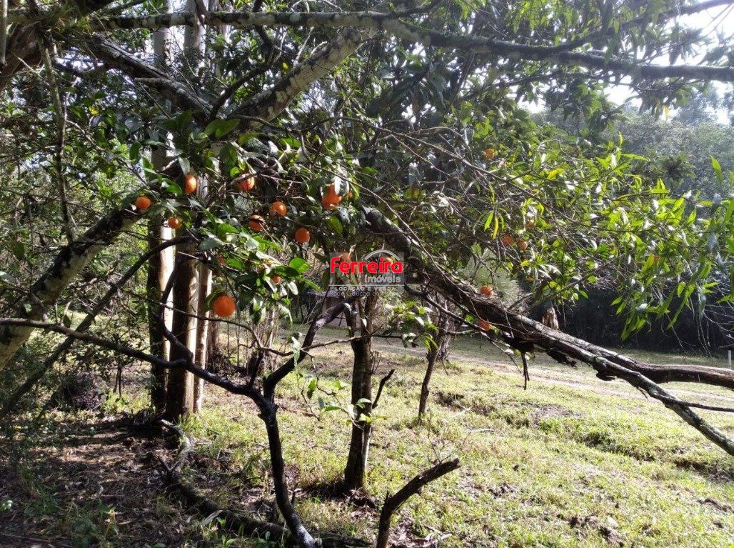 Terreno, à venda, Extrema - Porto Alegre — foto 4