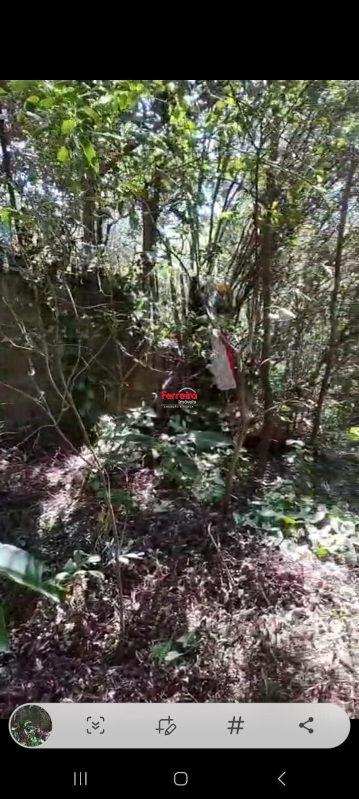 Chácara, à venda, Lageado - Porto Alegre — foto 3