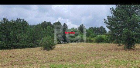 Terreno, à venda, Fiuza - Viamão — foto 4