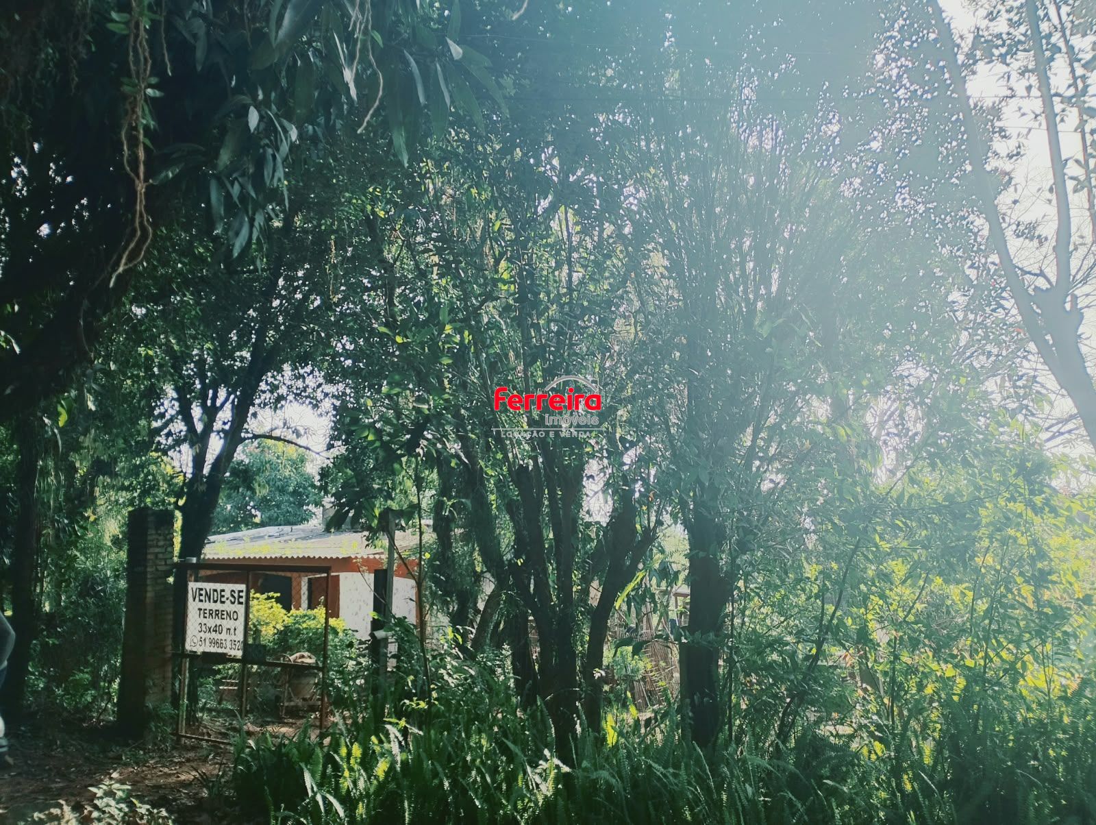 Terreno, à venda, Campo Novo - Porto Alegre — foto 5