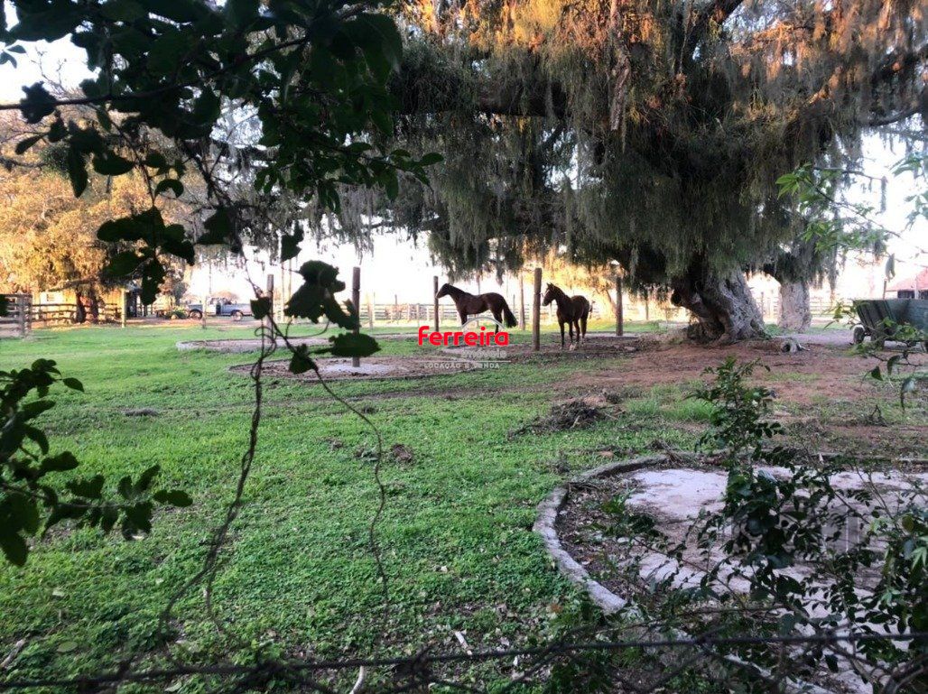 Terreno, à venda, Belém Novo - Porto Alegre — foto 2