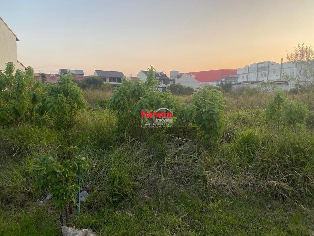 Terreno, à venda, Hípica - Porto Alegre — foto 5