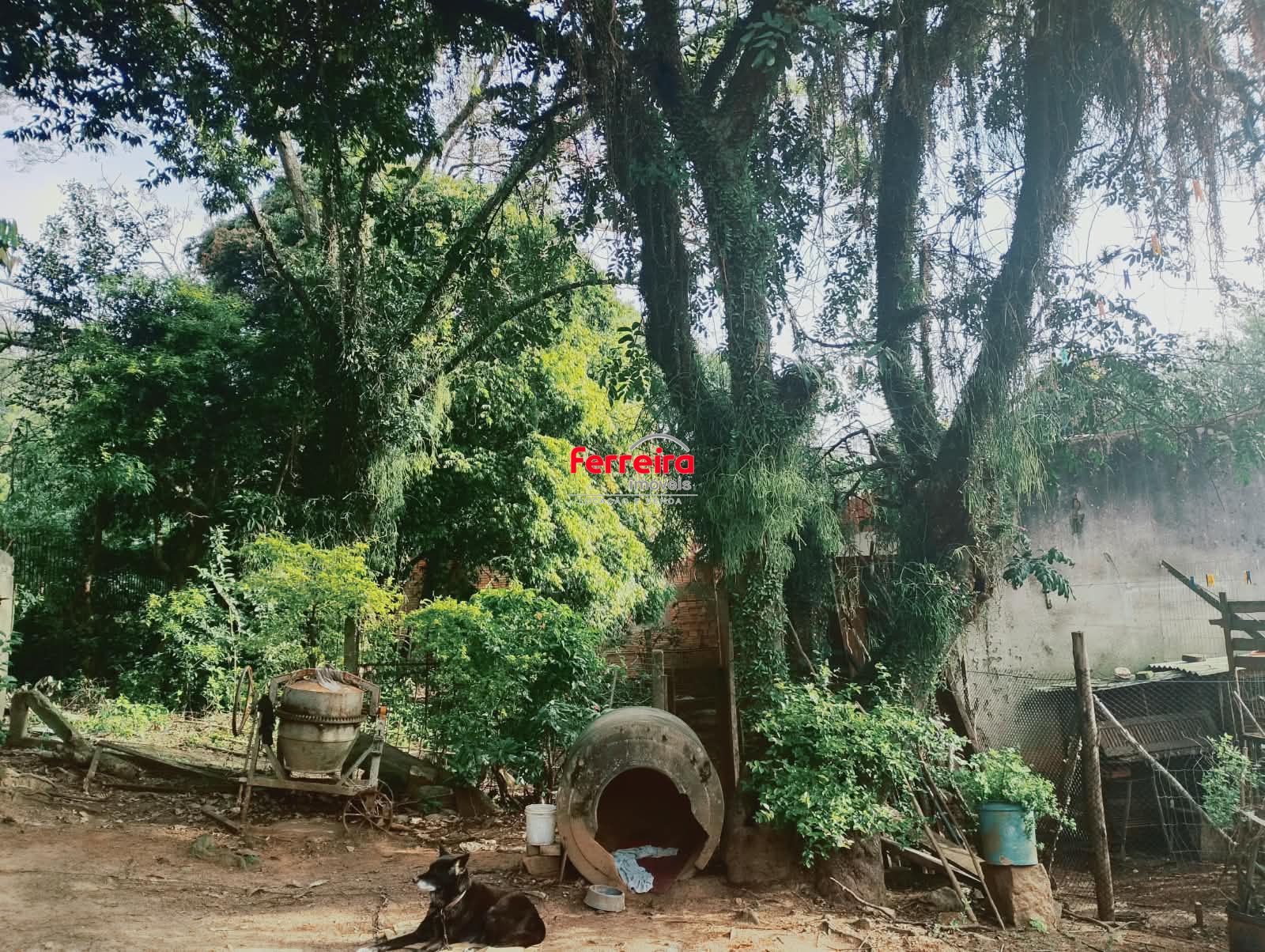 Terreno, à venda, Campo Novo - Porto Alegre — foto 3