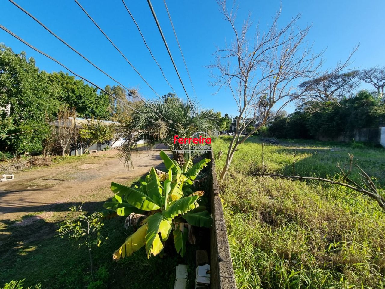 Terreno para Venda - Bairro Ipanema