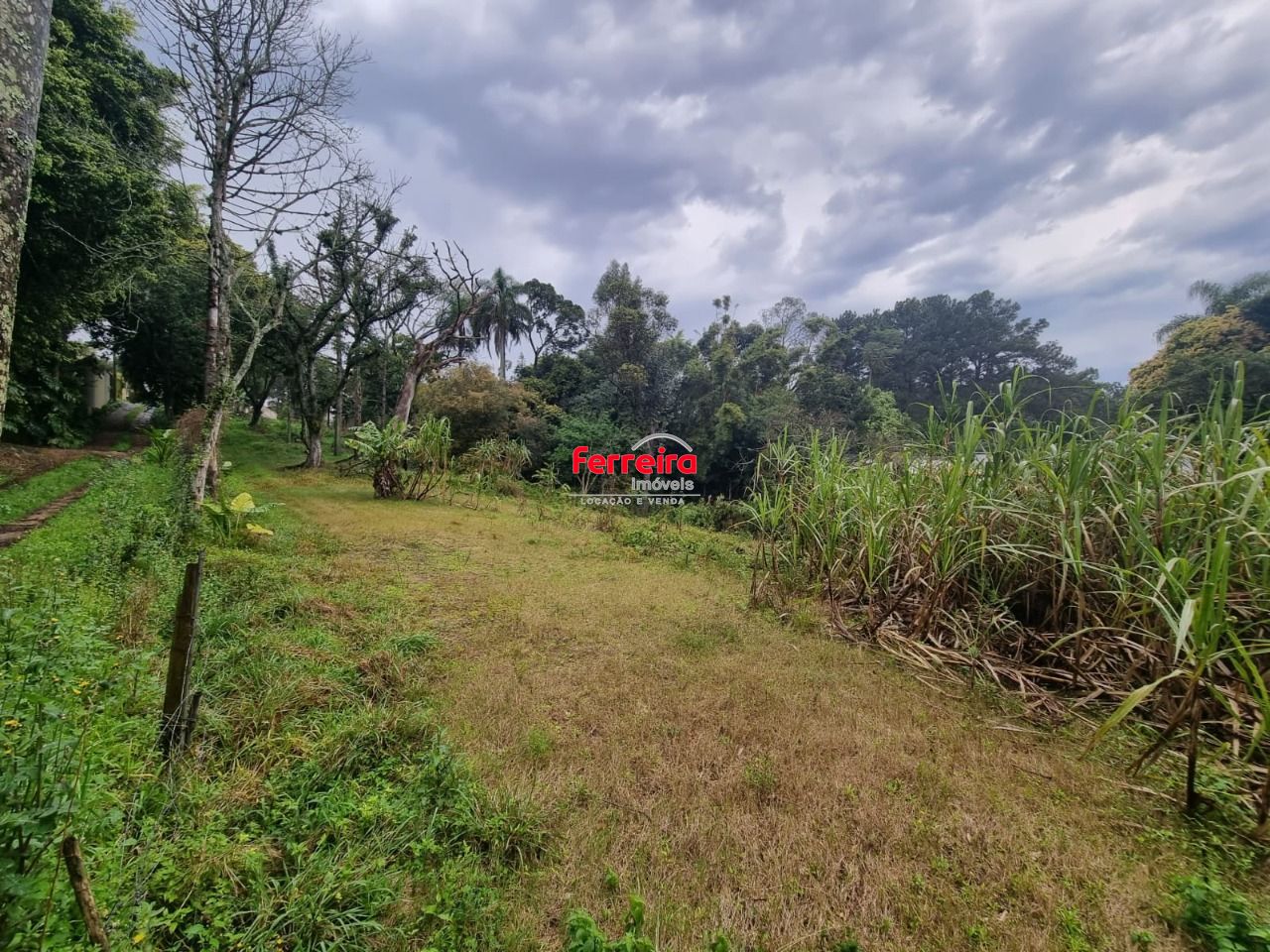 Terreno, à venda, 4.452 m², Jardim Isabel - Porto Alegre — foto 3