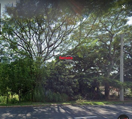 Terreno na av pinheiro borda com vista com 564n²