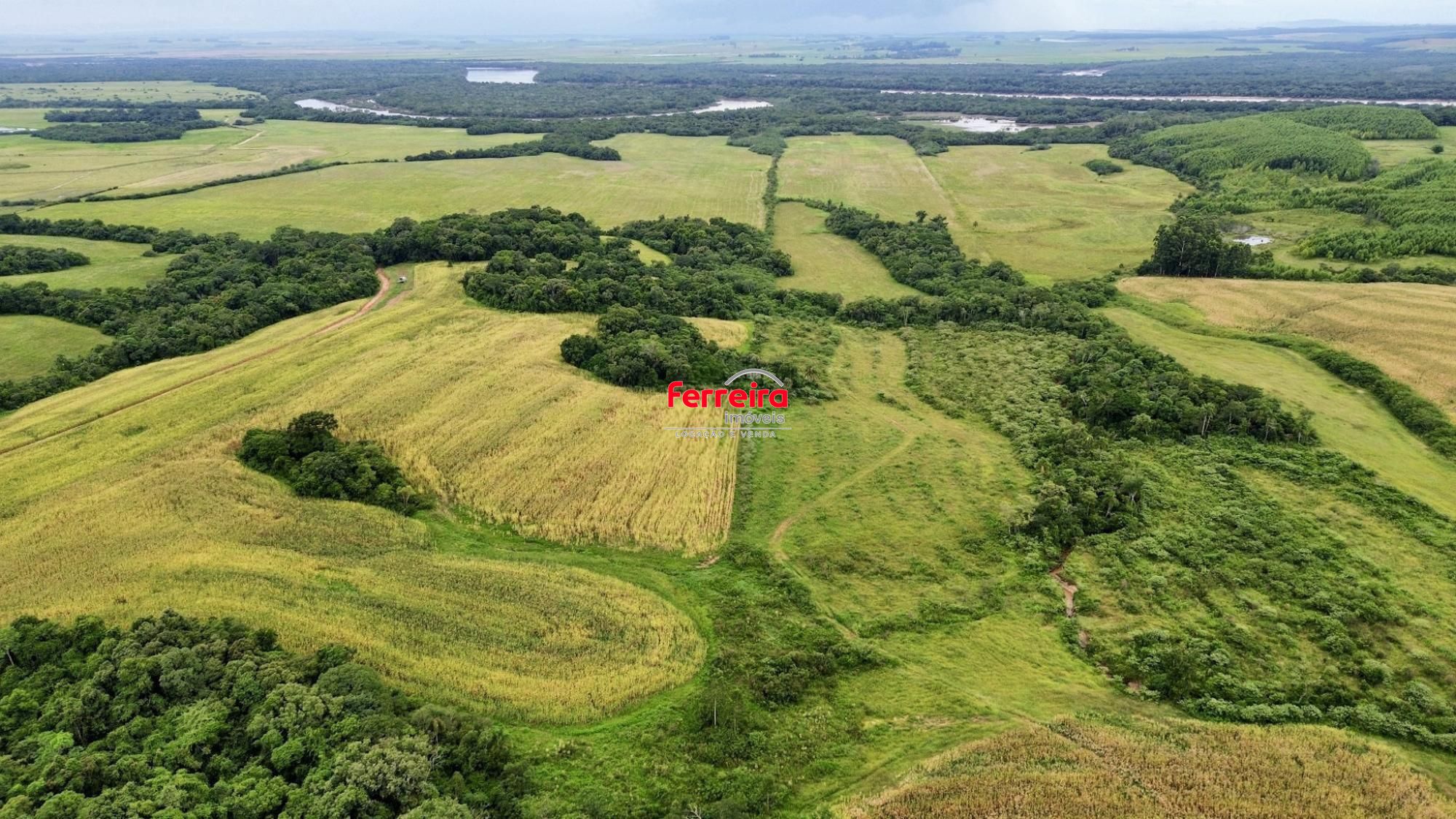 Fazenda, 3 quartos, à venda, 500 m², Monte Alegre (distrito) - Vale Verde — foto 3