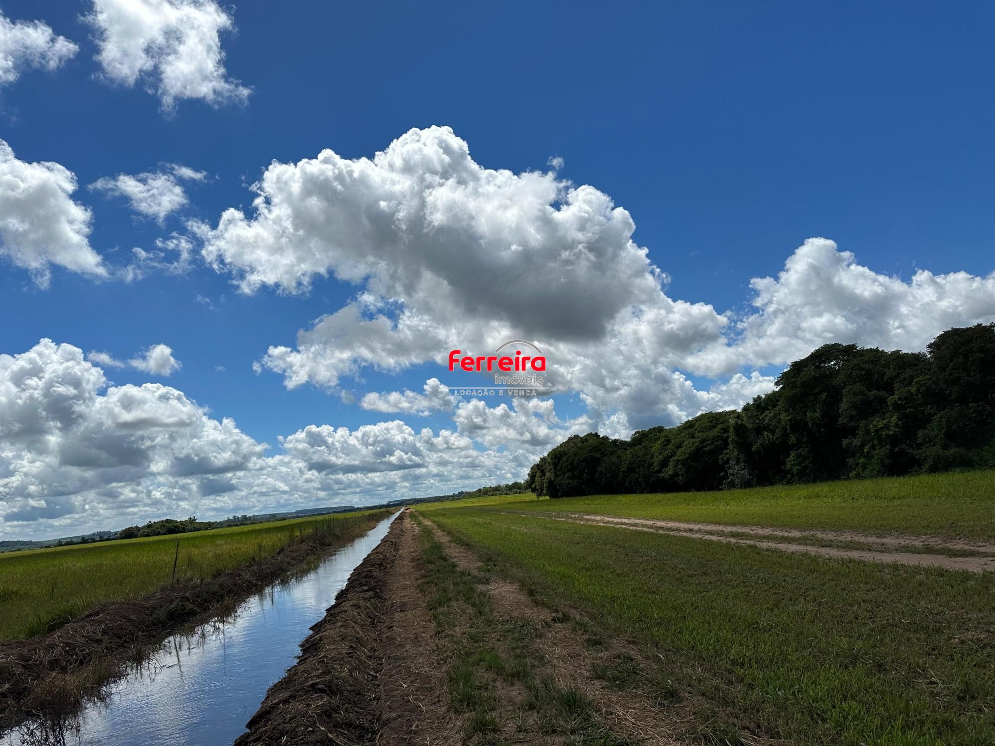 Fazenda, 3 quartos, à venda, 500 m², Monte Alegre (distrito) - Vale Verde — foto 5