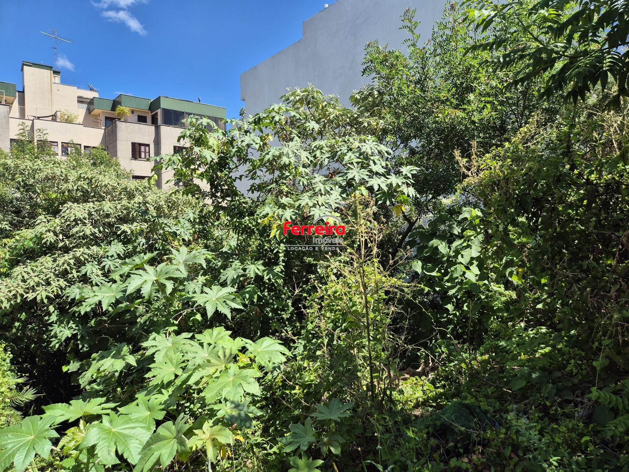 Terreno, à venda, Jardim Itu - Porto Alegre — foto 4