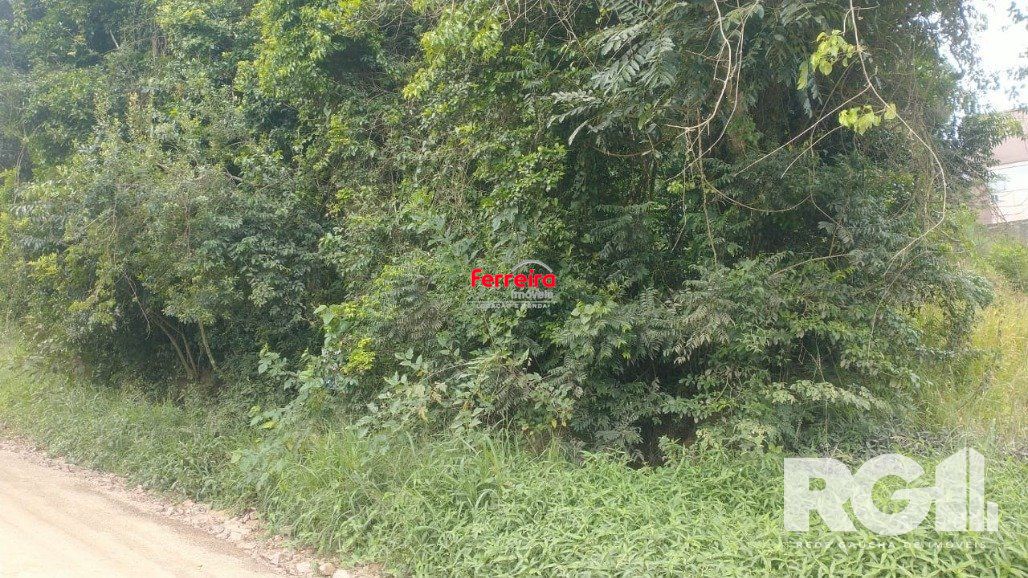 Terreno, à venda, Fiuza - Viamão — foto 4
