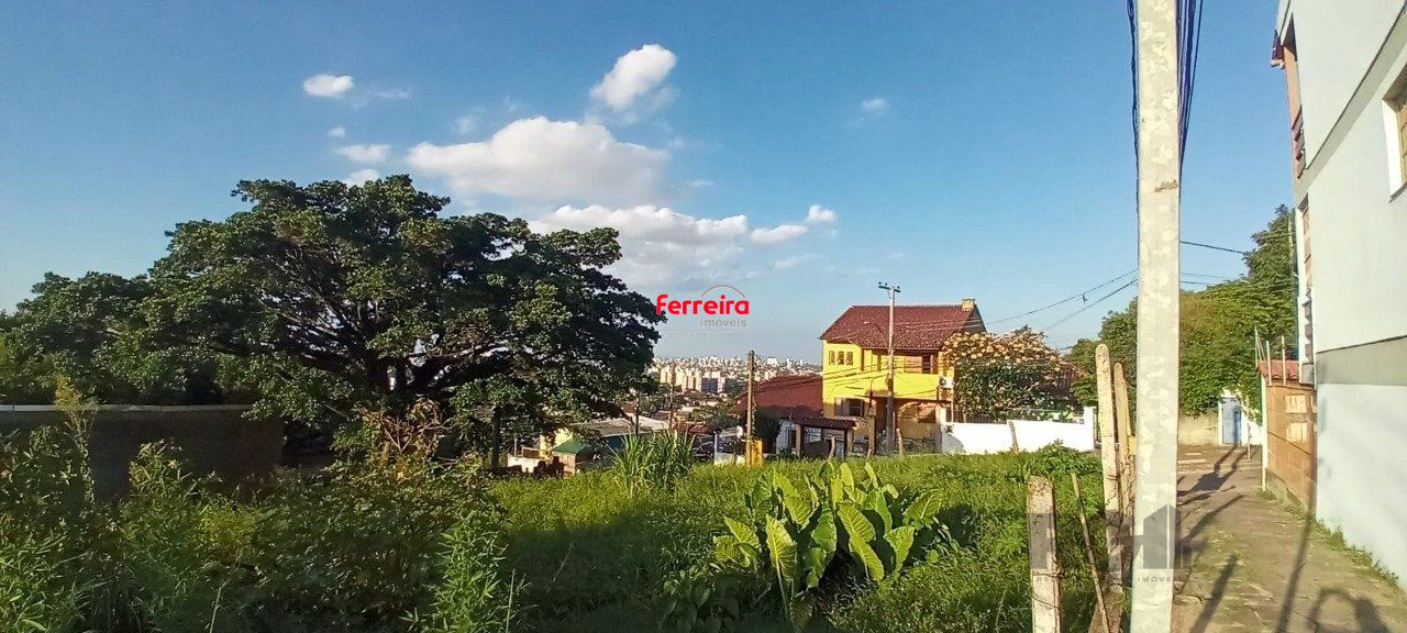 Terreno, à venda, Nonoai - Porto Alegre — foto 5