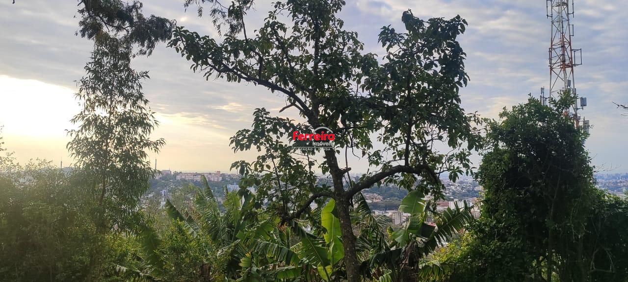 Terreno, à venda, Nonoai - Porto Alegre — foto 5