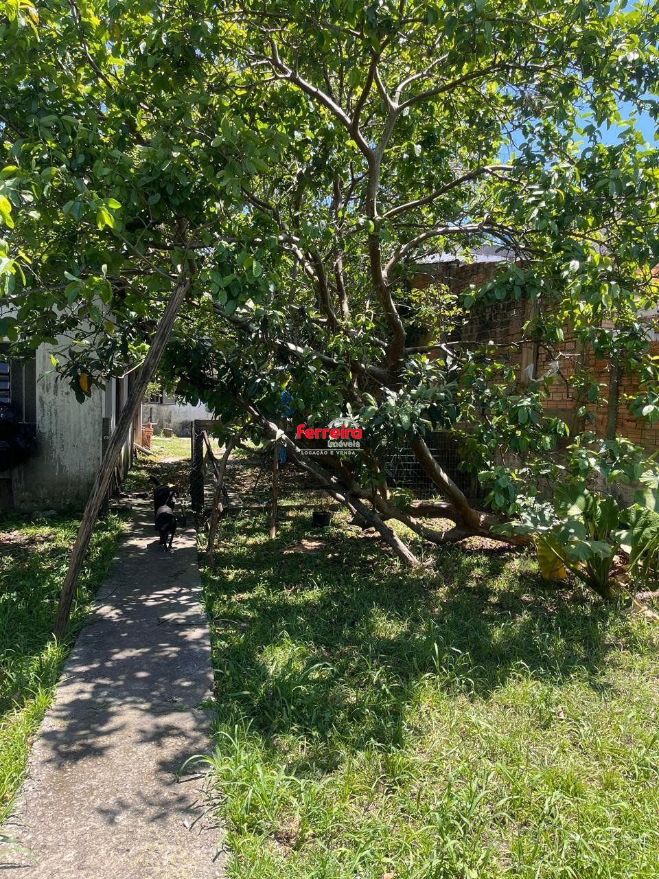 Terreno, à venda, Vila Nova - Porto Alegre — foto 2