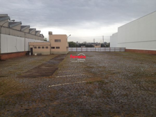 iferreira348610_246342.jpg