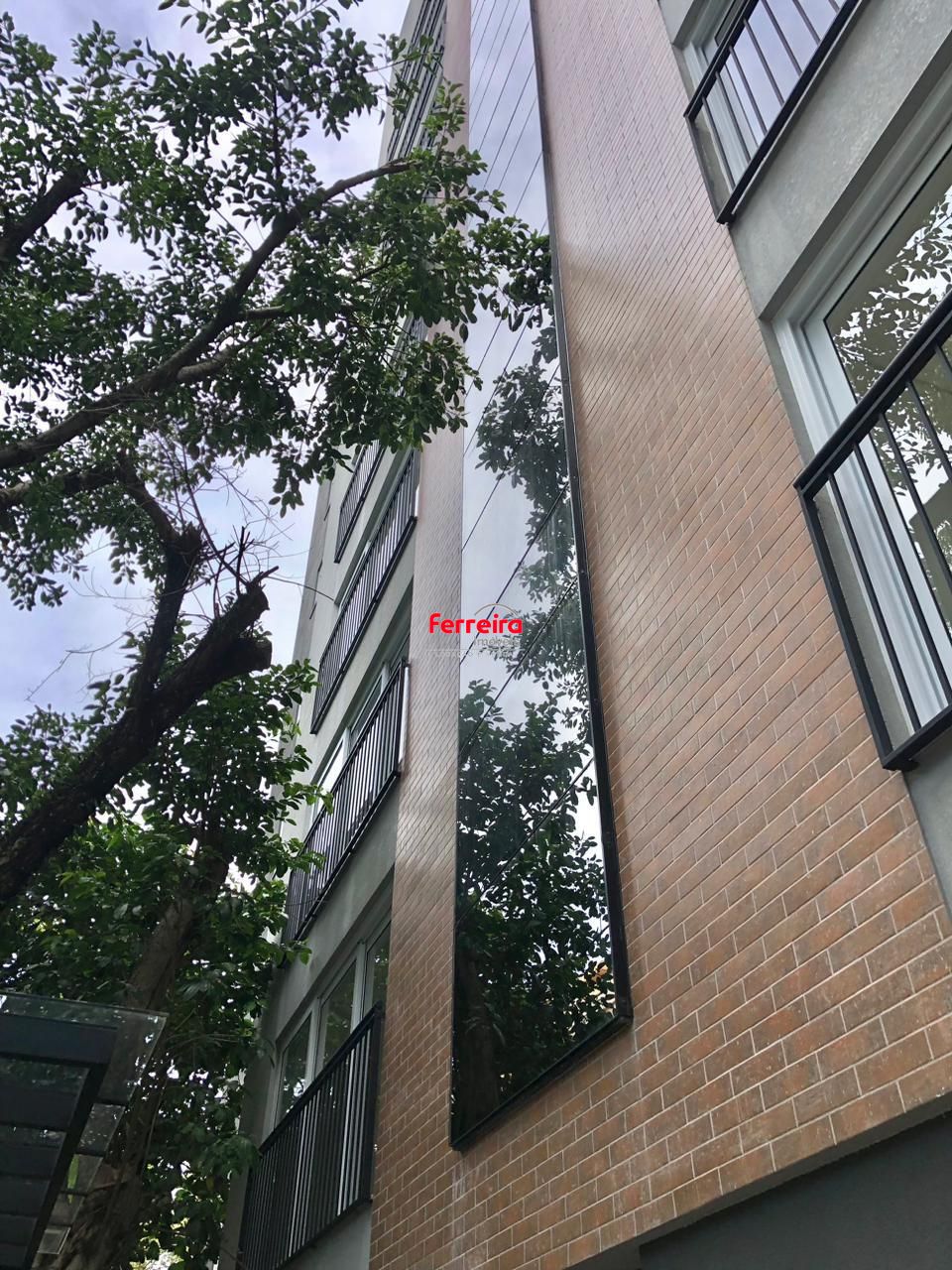 1802952.jpeg
