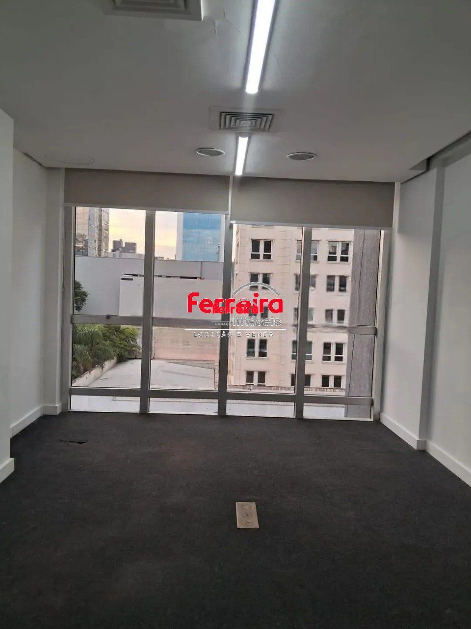 ir6Tl8K383H_117756aa1aba8eecbf.jpg