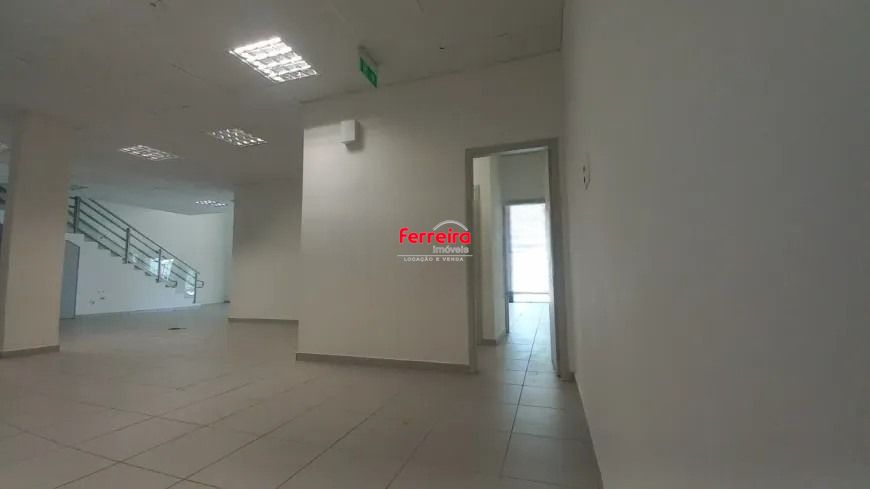 iR298_1117269e615c56b61a.jpg