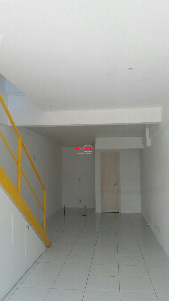 2477094.jpeg