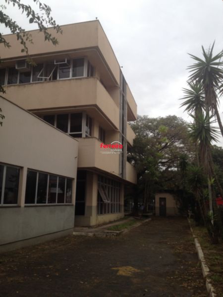 iferreira348610_2259685.jpg