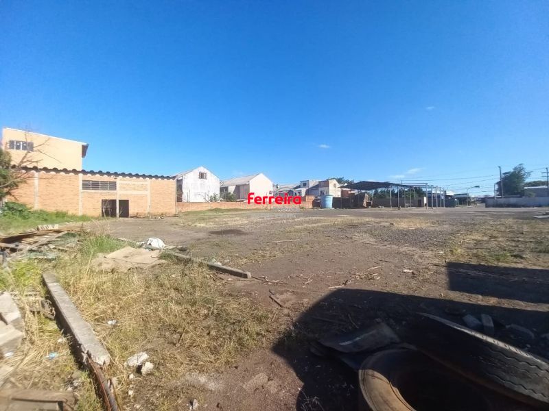 izvmI63y3s_108066972719390d39.jpg