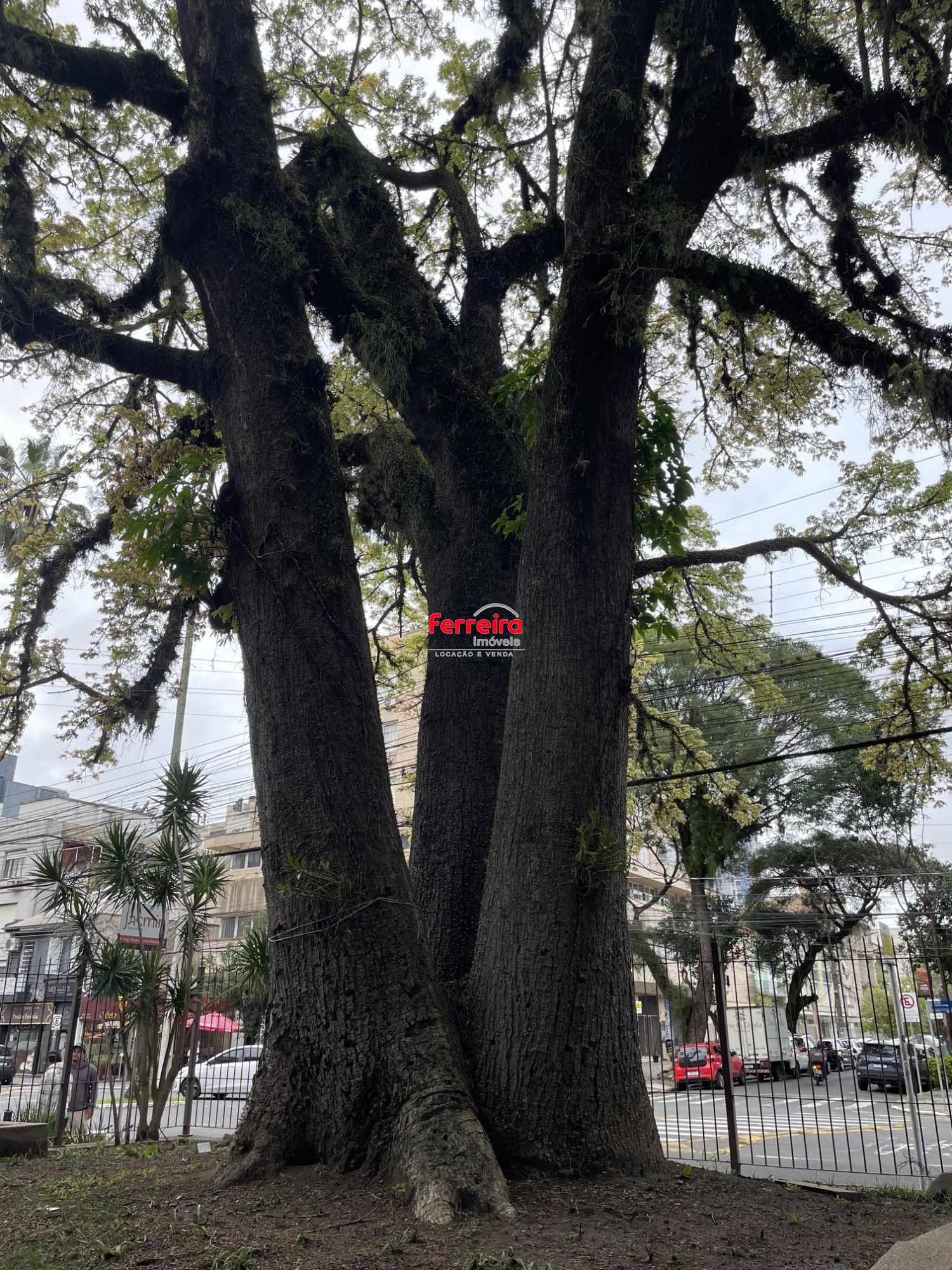 Apartamento, 3 quartos, à venda, 144 m², Menino Deus - Porto Alegre — foto 4