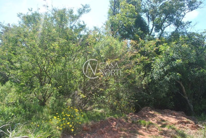 Terreno à venda  com 930m², Rua Giorgio Negroni no bairro Espírito Santo em Porto Alegre