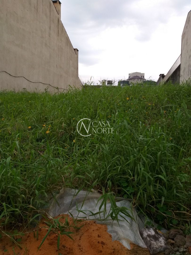 Terreno à venda  com 484m², Rua Upamaroti no bairro Cristal em Porto Alegre