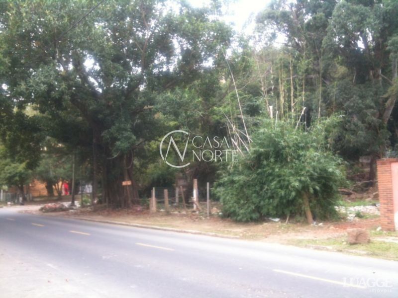 Terreno à venda  com 1452m², Avenida Guaiba no bairro Serraria em Porto Alegre