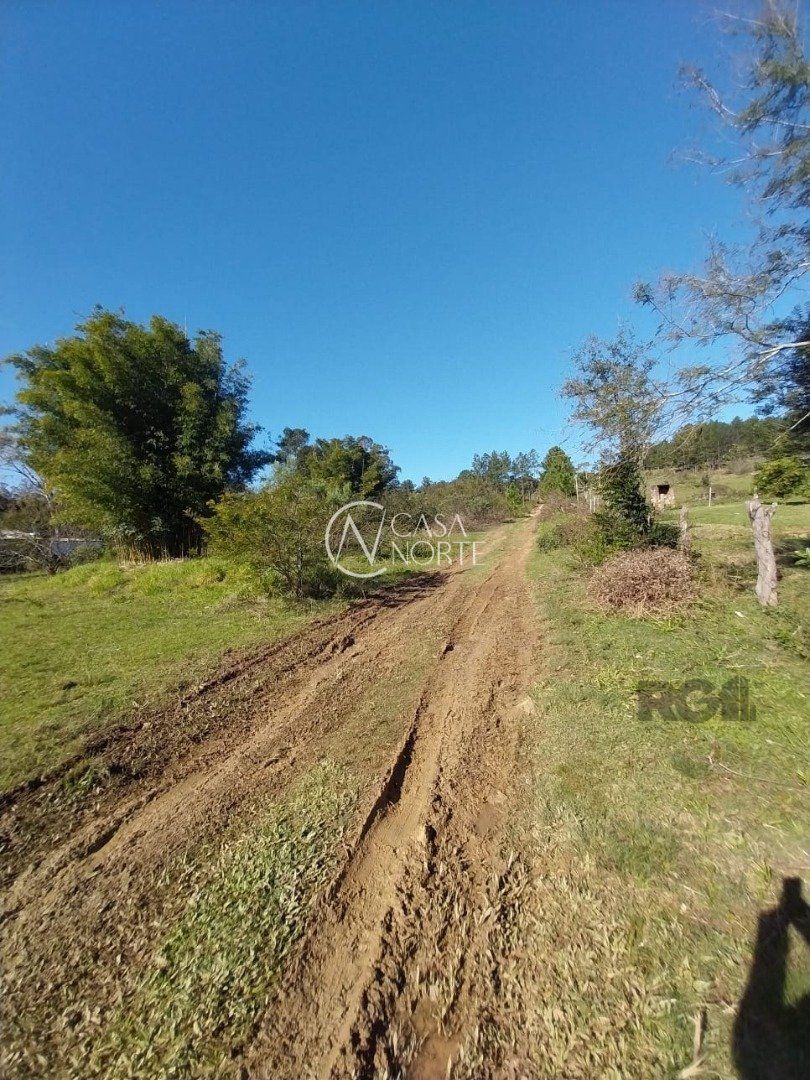 Terreno à venda  com 5000m², Estrada São Caetano no bairro Lami em Porto Alegre