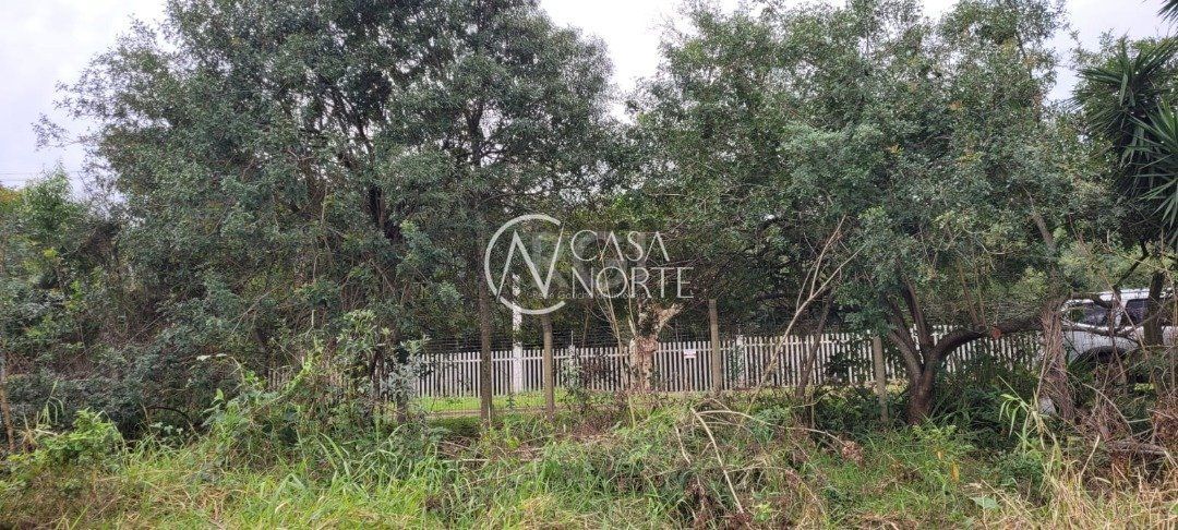 Terreno à venda  com 3037m², Estrada Jorge Pereira Nunes no bairro Campo Novo em Porto Alegre