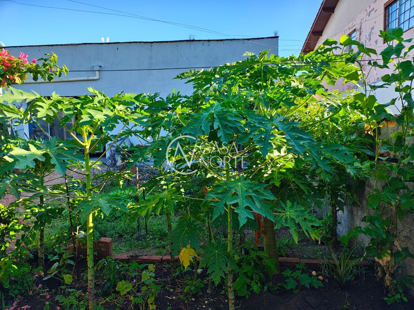 Casa à venda com 2 quartos, 182m², 1 suíte, 3 vagas, Avenida do Lami no bairro Lami em Porto Alegre