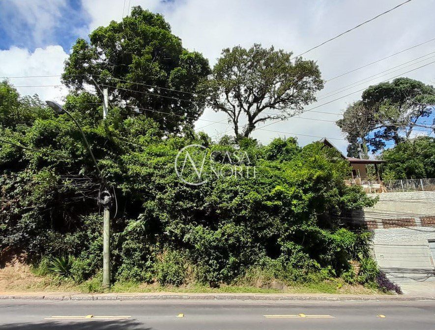 Terreno à venda  com 201m², Avenida Wenceslau Escobar no bairro Tristeza em Porto Alegre