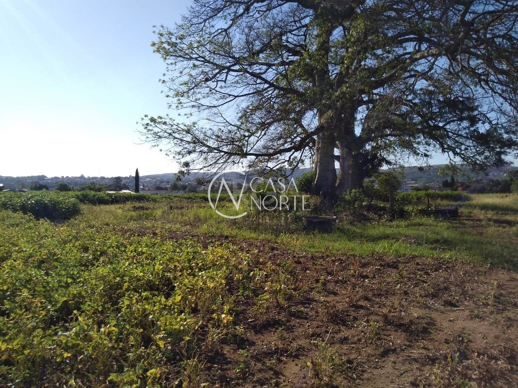 Terreno à venda  com 36900m², Beco do Paladino no bairro Campo Novo em Porto Alegre