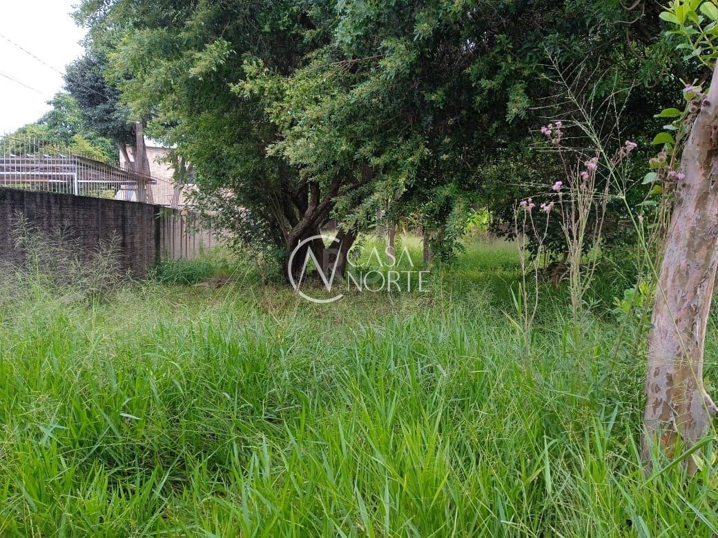 Terreno à venda  com 368m², Rua Doutor Mário Totta no bairro Tristeza em Porto Alegre