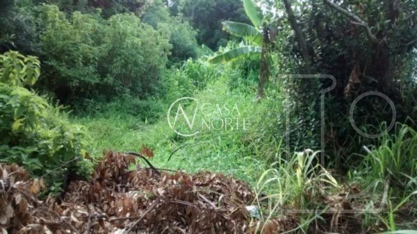 Terreno à venda  com 1104m², Pedro Rodrigues Bittencourt no bairro Vila Nova em Porto Alegre