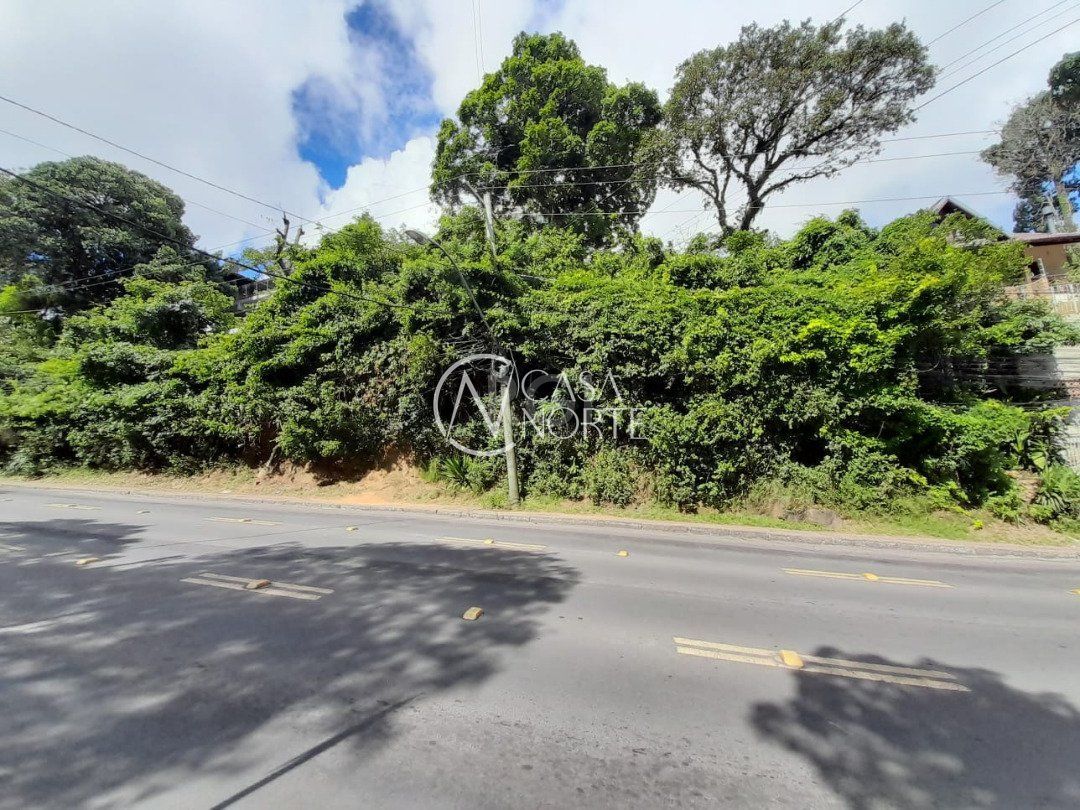 Terreno à venda  com 201m², Avenida Wenceslau Escobar no bairro Tristeza em Porto Alegre