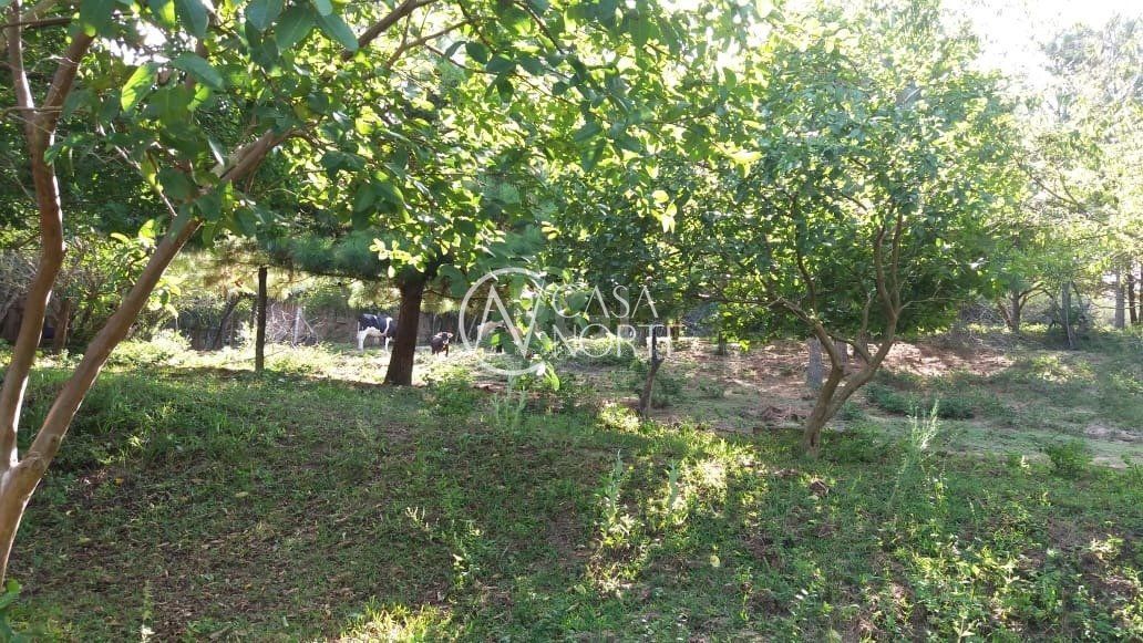 Terreno à venda  com 44000m², Avenida do Lami no bairro Boa Vista do Sul em Porto Alegre