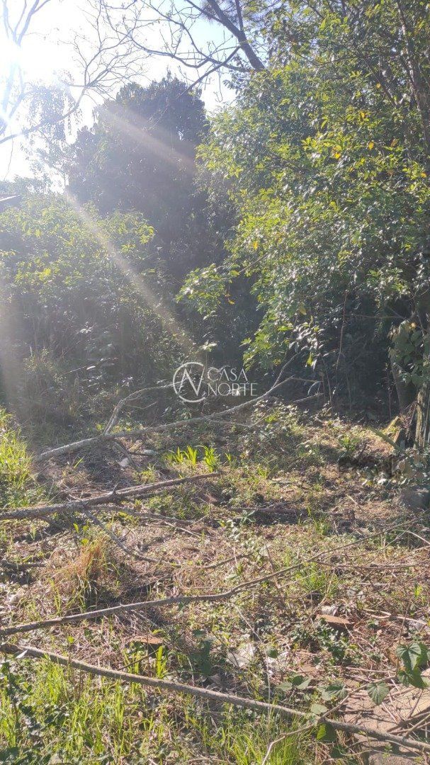 Terreno à venda  com 430m², Rua Comendador Castro no bairro Ipanema em Porto Alegre